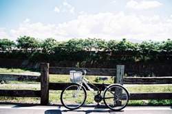 單車旅遊，已是近年熱門的休閒活動。(耿詩婷攝)