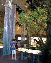 全館將透過投影機與天花板劇場等設備，製造驚奇的影音效果。