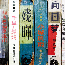 書架上，每一本書冊的脊梁都說明了臺灣文學歷史的意思、存在的價值。