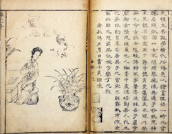 《西廂記》的故事原型，改編自唐代元稹的傳奇名篇〈會真記〉，又名〈鶯鶯傳〉。（國家圖書館提供）