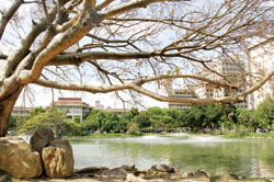 國立中興大學的中興湖是一座景色優美的人工造湖。