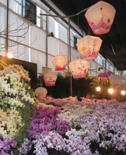 每年3月固定舉辦蘭花展。