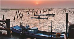 七股潟湖夕照全國有名。