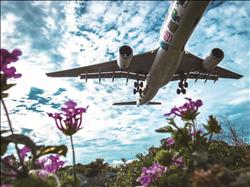 第三名周有煦作品「The flower channel」。