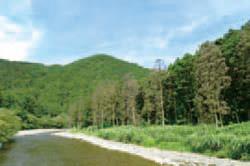 交通資訊