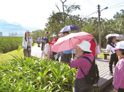 八里分館常舉辦一些生態之旅(圖為紅樹林導覽)。