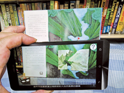 楊英風爺爺的「太魯閣峽谷」雕塑,把臺灣東部縱谷地形的雄偉和壯美表露無遺