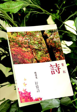 詩人敻虹的《敻虹詩精選集：抒情詩》正在錄製中。