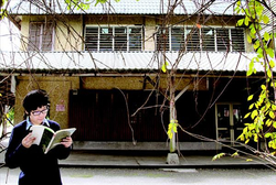在鳳林鎮立圖書館，借閱幾本書籍，享受旅行中美好的閱讀時光。