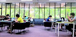 臺師大圖書館二樓自然採光設計，窗外一片綠意盎然令人心曠神怡。