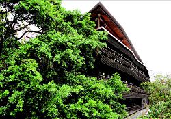 臺北市立圖書館北投分館是陳明珠認為少數能將當地環境與建築融在一起的圖書館作品。