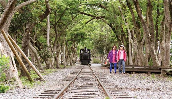 森林、鐵道、老火車頭，重現過往運輸木材的景象。