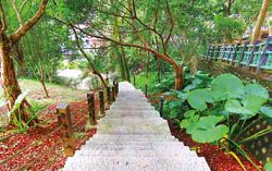 安康森林公園內階梯步道平緩，走起來不會太費力。