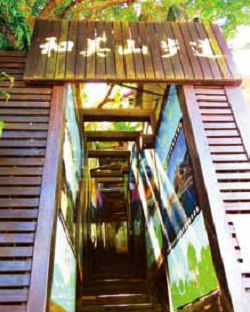 和美山步道生態豐富。