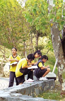 臺中市大墩國中圖書教師童師薇將閱讀教學拉往文心森林公園，讓孩子學習如何使用工具書。（童師薇提供）