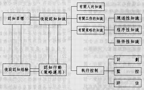 認知監控模式圖