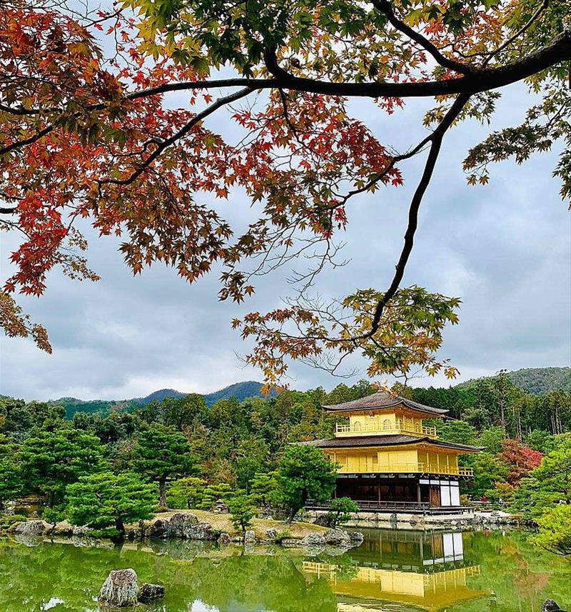 日本文學系列：一把火燒掉的是什麼──三島由紀夫與《金閣寺》