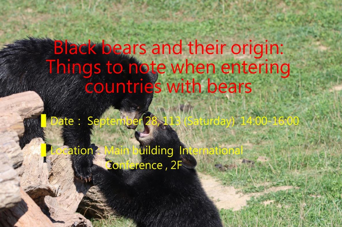 Black bears and their origin: Things to note when entering countries with bears