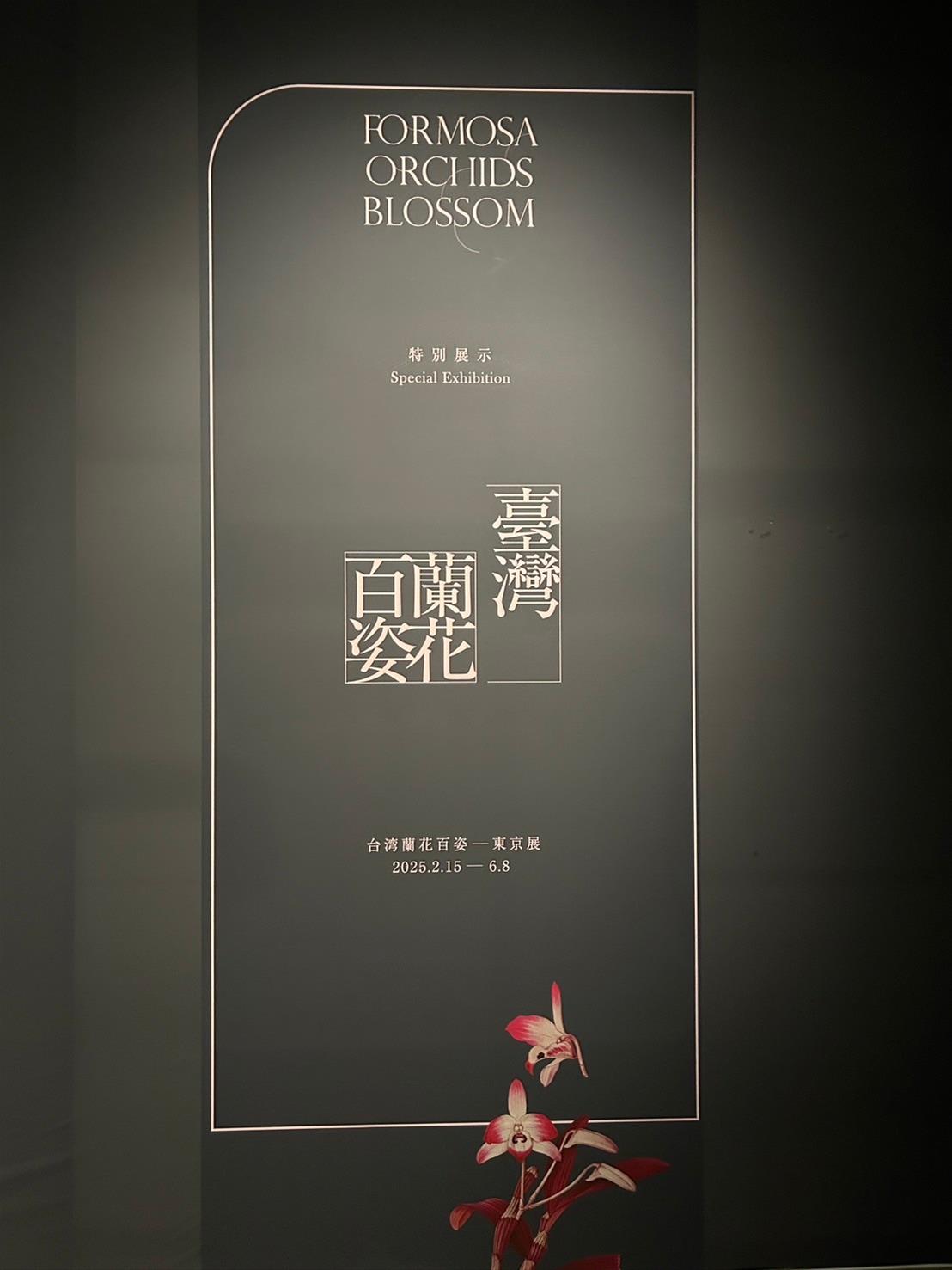 臺灣蘭花百姿