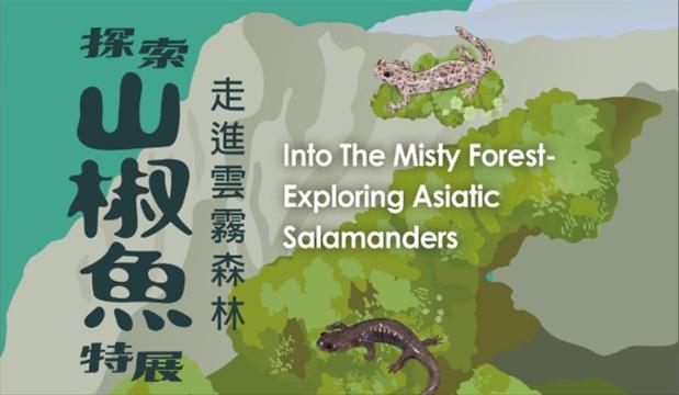 Into the Cloud Forest – Exploring the Salamander Special Exhibition