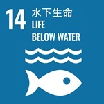水下生命