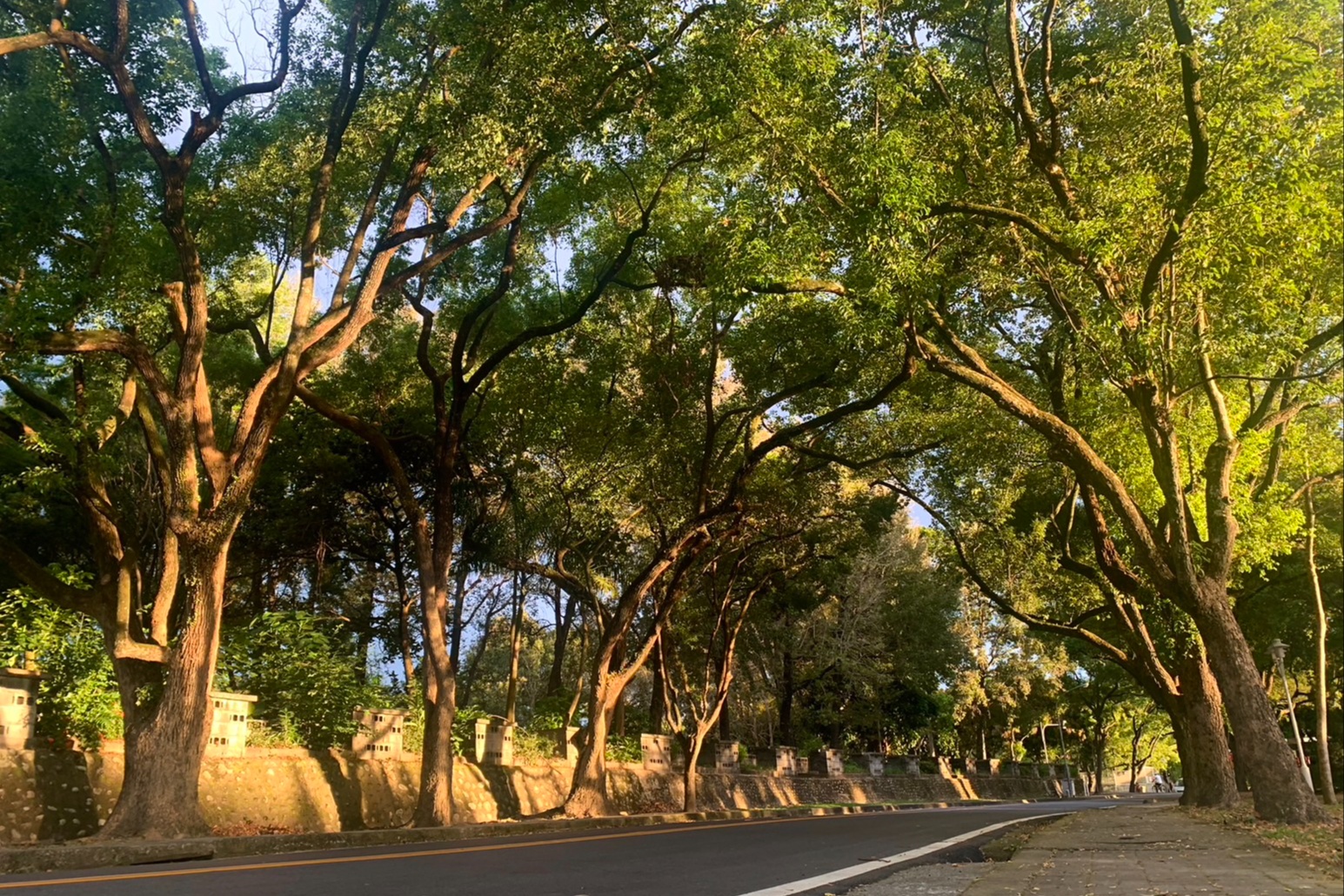 zx21_中興新村風景