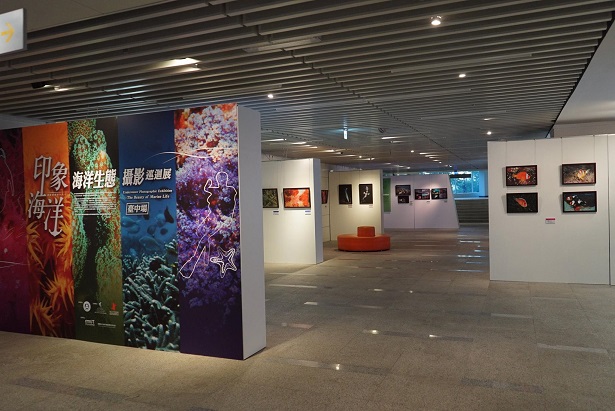Art Corridor